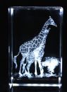 3d laser crystal