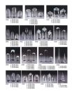 crystal catalogue