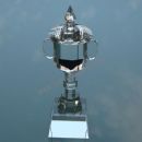 glass trophy